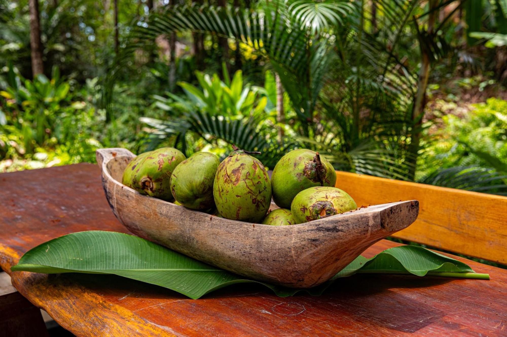 Vila Morena Altos De Itapororoca Trancoso Ngoại thất bức ảnh